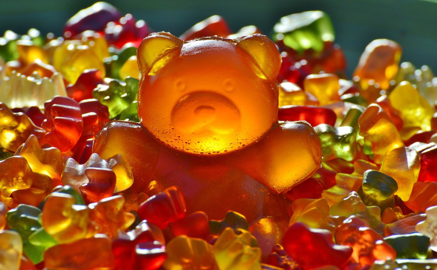 Top CBD Gummies you must know
