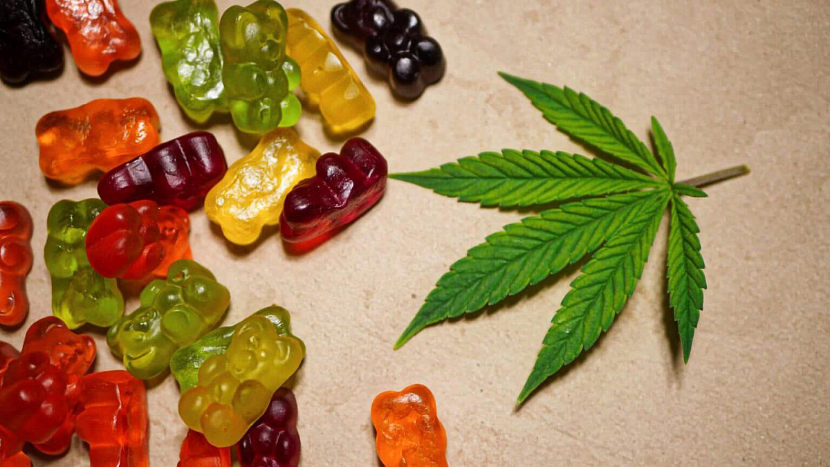 A beginner’s guide before buying potent delta 8 gummies online