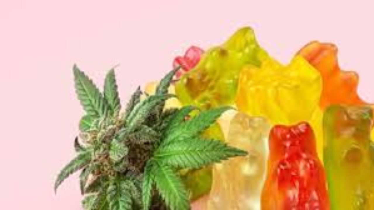 What are the potential benefits of magic mushroom gummies?