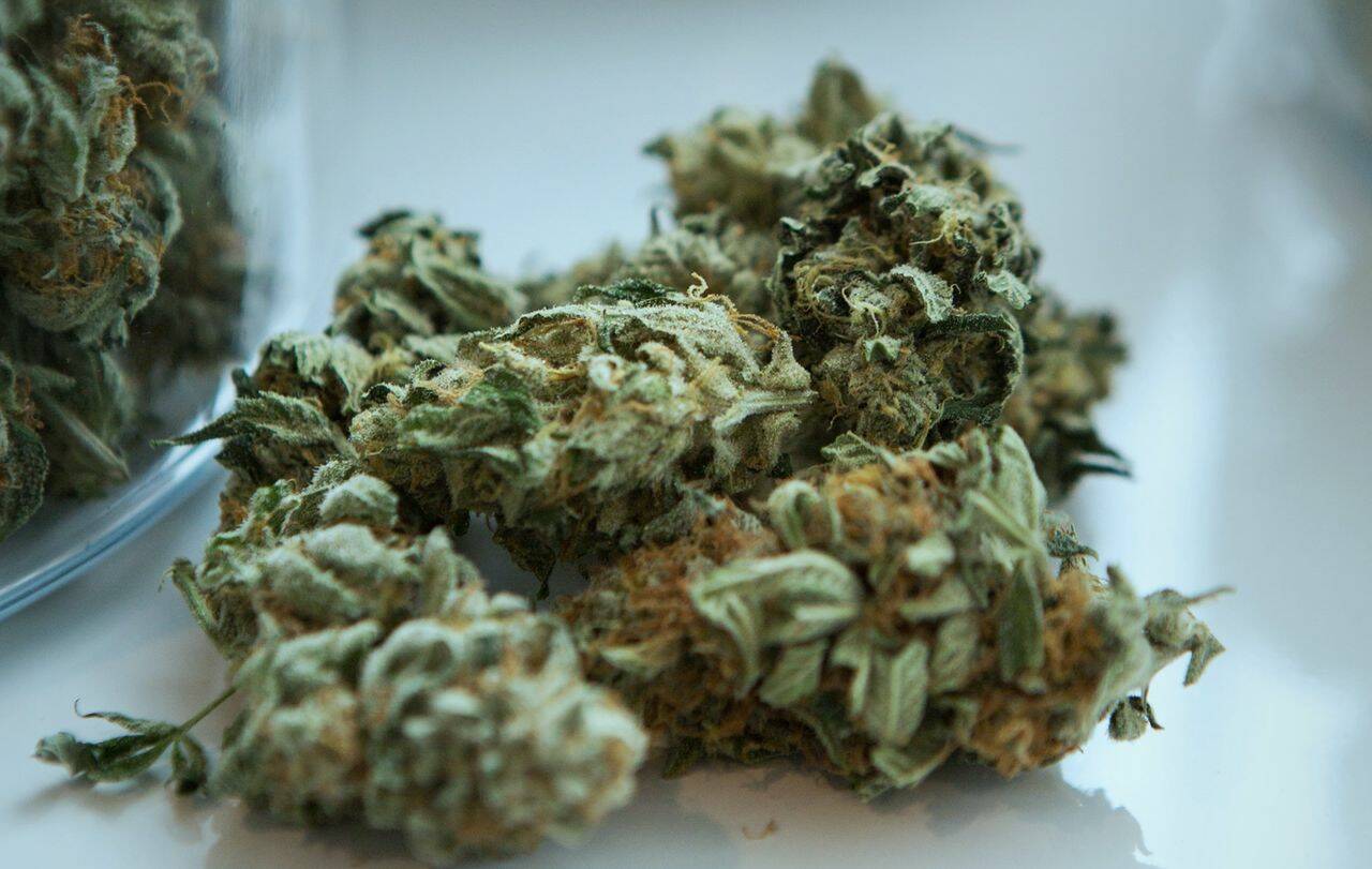 What should consumers look for when choosing a quality CBD product?